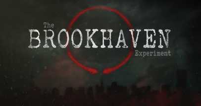 布鲁克海文实验(The Brookhaven Experiment)