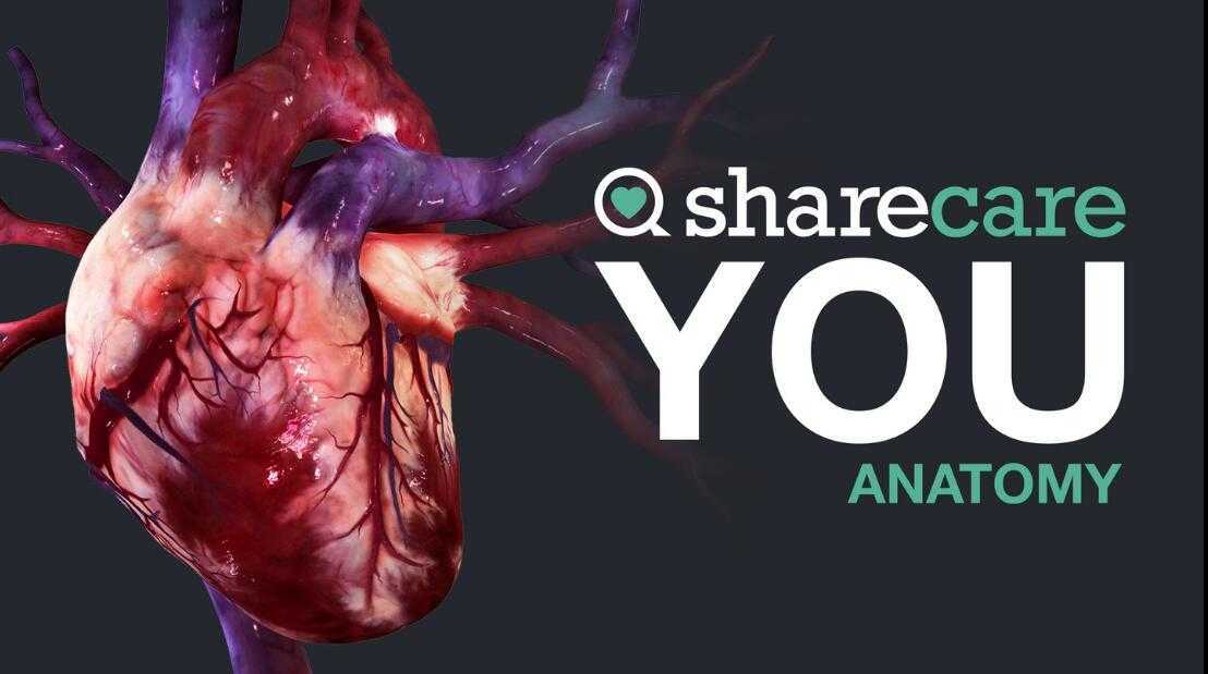 器官解刨学(Sharecare YOU Anatomy VR)- Ocu